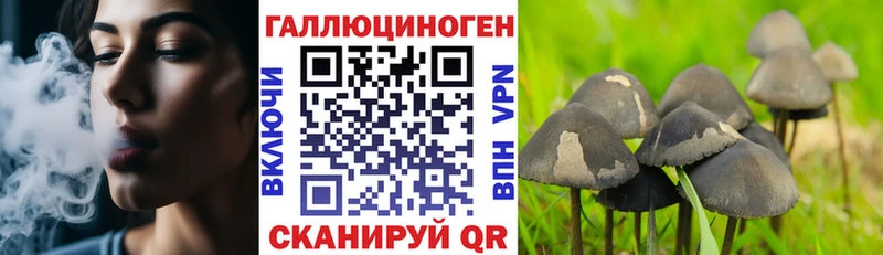 Галлюциногенные грибы Psilocybe  дарнет шоп  Кандалакша 